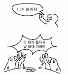 노빠구 남선호 니늙내젊 사수하자! - 드영배 카테고리