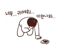 짤정리하다가 또 뽕차서...ㅎㅋㅋ 다재 공주님안기 했던날 심정변화 - 드영배 카테고리