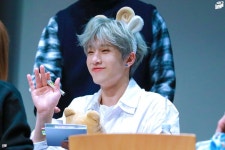 더쿠 - 강아진진