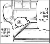 심심해서 만든 ㅇㅇ가 보고싶어 짤들 - 국내유명인 카테고리