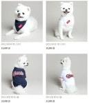 자샵 반려견용품 봤어? - 국내야구 카테고리