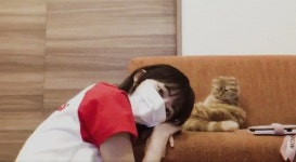 냥이랑 냥이랑 - 미야와키 사쿠라 카테고리