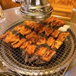 나도 내가 찍은 거 자랑 - 국내야구 카테고리