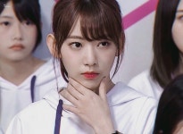 이사진 완전 진지고양이 프로고양이임 - 미야와키 사쿠라 카테고리