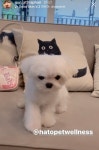 헐 비비 미용한곳 넹이 일하는곳이네? - 태국 카테고리