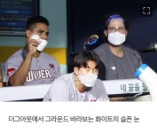 더그아웃에서 그라운드 바라보는 화이트의 슬픈 눈 - 국내야구 카테고리