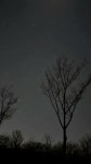 전체 게시판 - ㅇㅅㅅ 대구사댜들아 오늘 밤하늘 한번 봐