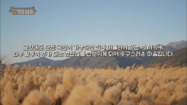 윤스테이 이거 글씨체 뭘까 - 드영배 카테고리