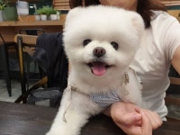 달리 인스타그램 - 스퀘어 카테고리