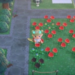 드디어 파란 장미가 폈어!!!! - 동물의숲 카테고리