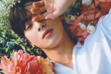 꽃과 으누 - 차은우 카테고리
