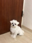 오늘 야구볼때 하도 소리지르고 난리쳐서 화가 난 누누 - 국내야구 카테고리