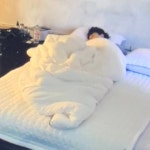 나비로 변하기 전의 번데기 지미니🦋✨ - 지민(BTS) 카테고리 나비로 변하기 전의 번데기 지미니&#x1f98b;✨ - 지민(BTS) 카테고리