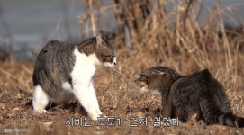 더쿠 - 싸움을 멈출 수 밖에 없었다 (haha ha)