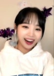 푸푸들 워니 짤 떴다 - 김채원 카테고리