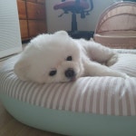 달리 인스타그램 - 스퀘어 카테고리