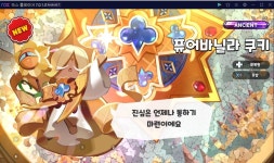 나 뽑기 미친듯 - 쿠키런 카테고리