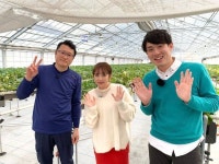 내일 오후5시 ふれあい若狭 닼민 방송출연 - AKB48그룹 카테고리