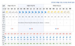 제19호 태풍 이동경로상에 있는 주요 도시들 22~24일 날씨 - 스퀘어 카테고리