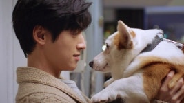 아 나 반시밀당 보다가 어이없게 강아지한테 빠짐 - 차이나 카테고리