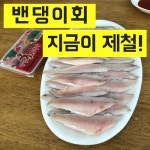 카테 들어오자마자 분위기파악 ㅇㅋㅇㅋ..... - 국내야구 카테고리