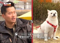 더쿠 - 지민이 흑역사 듣는 표정 강아지랑 존똑이야ㅋㅋㅋㅋㅋㅋㅋㅋㅋㅋㅋㅋ