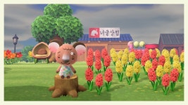 두달간 우리 주민들 스토킹 후기♡(사진많음주의!) - 동물의숲 카테고리