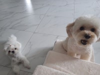 전체 게시판 - 🐦 우진FNS 전체 게시판 - 🐦 우진FNS