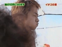 오오미야 딸기농장 갔던 마고마고 세상 귀엽.. - ARASHI(아라시) 카테고리