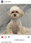 전체 게시판 - 박초코 입꾹꾹ㅋㅋㅋㅋ