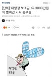 [단독] 태양광 보조금 年 3000만원씩 벌어간 가짜 농부들 - 스퀘어 카테고리