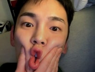 우리 집 오리 볼 사람 - 샤이니(SHINee) 카테고리