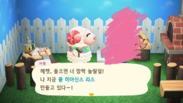 차둘이가 쿨 히안시스 리스 만들어! 배우러 올 덬? - 동물의숲 카테고리