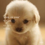 오랜만에 아르릉 모먼트 보는데 개귀욥 - GL 카테고리