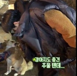 김선호 강아지한테도 이렇게 다정하기냐ㅠㅠㅠㅠㅠㅠㅠㅠㅠㅠㅠㅠㅠㅠㅠㅠㅠㅠㅠㅠㅠㅠㅠㅠㅠㅠ - 드영배 카테고리