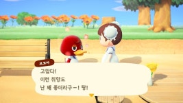 주민들에게 마린원피스 선물하기 - 동물의숲 카테고리