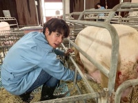 수의대생 모드 김믹스 너무 좋다 진짜 🐕 - 태국 카테고리 수의대생 모드 김믹스 너무 좋다 진짜 🐕 - 태국 카테고리