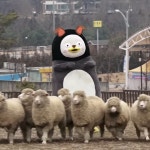 멈무야 - 펭수 카테고리