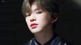 강다니엘 w코리아 보정본모음 - 강다니엘 카테고리