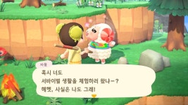 친절 노리고 마일섬 돌았는데 당신이 왜 여기서 나와..? - 동물의숲 카테고리