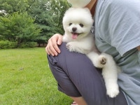 달리 인스타그램 - 스퀘어 카테고리