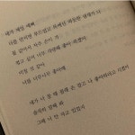 지평달미 이 짤 보자마자 내가 좋아하는 문구가 생각남 - 드영배 카테고리