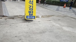 대한이 하면 이거지ㅋㅋㅋㅋ - 국내야구 카테고리