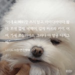“어어, 짧다 짧다. 하, 짧은데. 행수, 머를 할라꼬 하지마시고예, 고마 정리한다는 심정으로 쪼매만 짜르이소.” - 비엘 카테고리