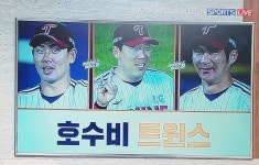 더쿠 - 호수비 트윈스