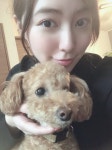 더쿠 - 멍뭉이와 멍뭉이