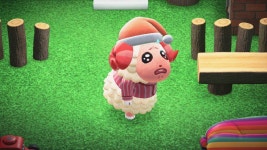 차둘이 아픈거 왤케 웃기지 - 동물의숲 카테고리