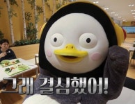 이제부터 사진찍을땐 참치야 - 펭수 카테고리