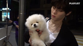 더쿠 - 트웬티 비하에 나오는 메종따따님