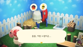 차둘가 드디어 옷장배치했어 - 동물의숲 카테고리